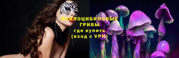 шишки Фурманов