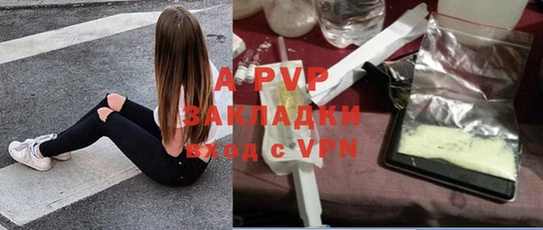 крисы Заводоуковск
